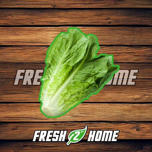Cos (Romaine) Lettuce