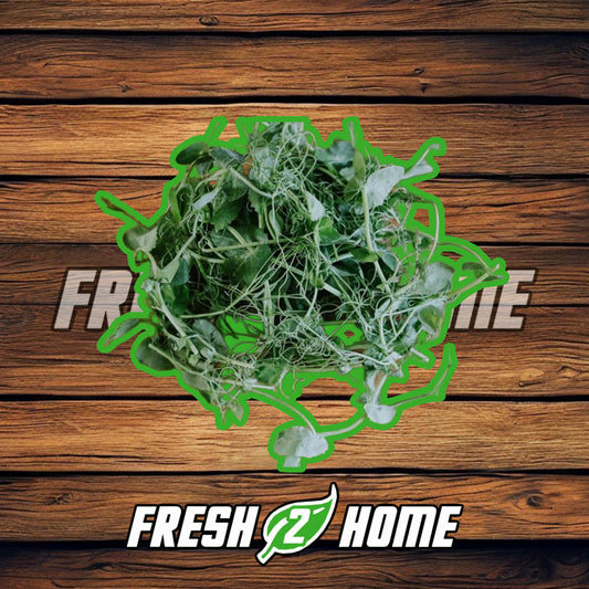 Micro Tendril Pea Shoots (100g)