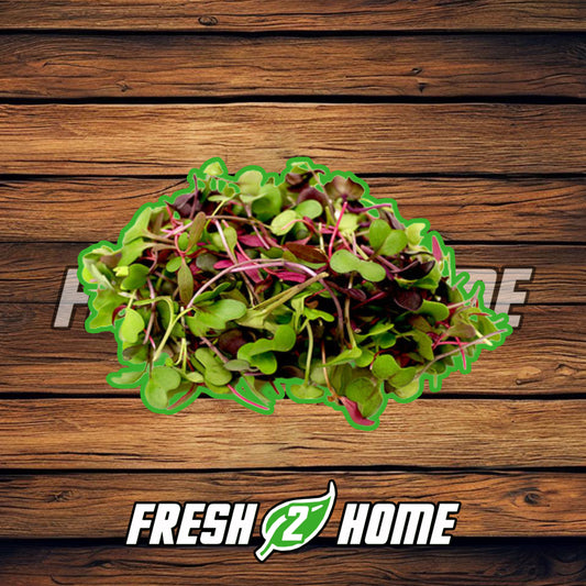 Mixed Micros (30g)